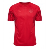 Camiseta Dinamarca Primera Equipación Mundial 2022 manga corta